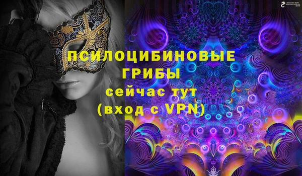 не бодяженный Горнозаводск