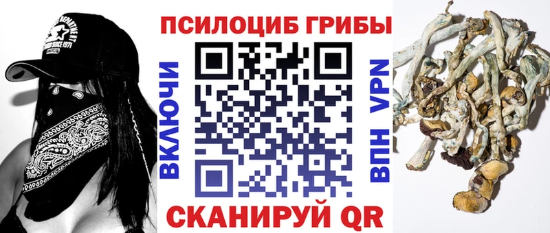 цены наркотик  Ковров  Галлюциногенные грибы MAGIC MUSHROOMS 